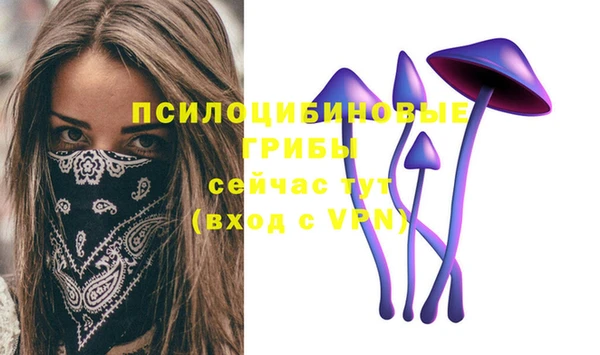метамфетамин Белокуриха