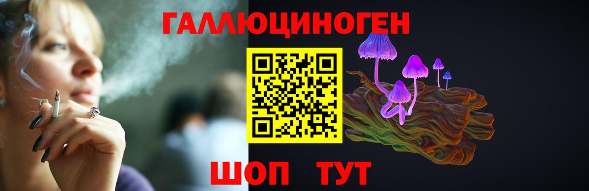 Псилоцибиновые грибы мухоморы  Псилоцибиновые грибы ЛСД  что такое   Вход с VPN  Горно-Алтайск 